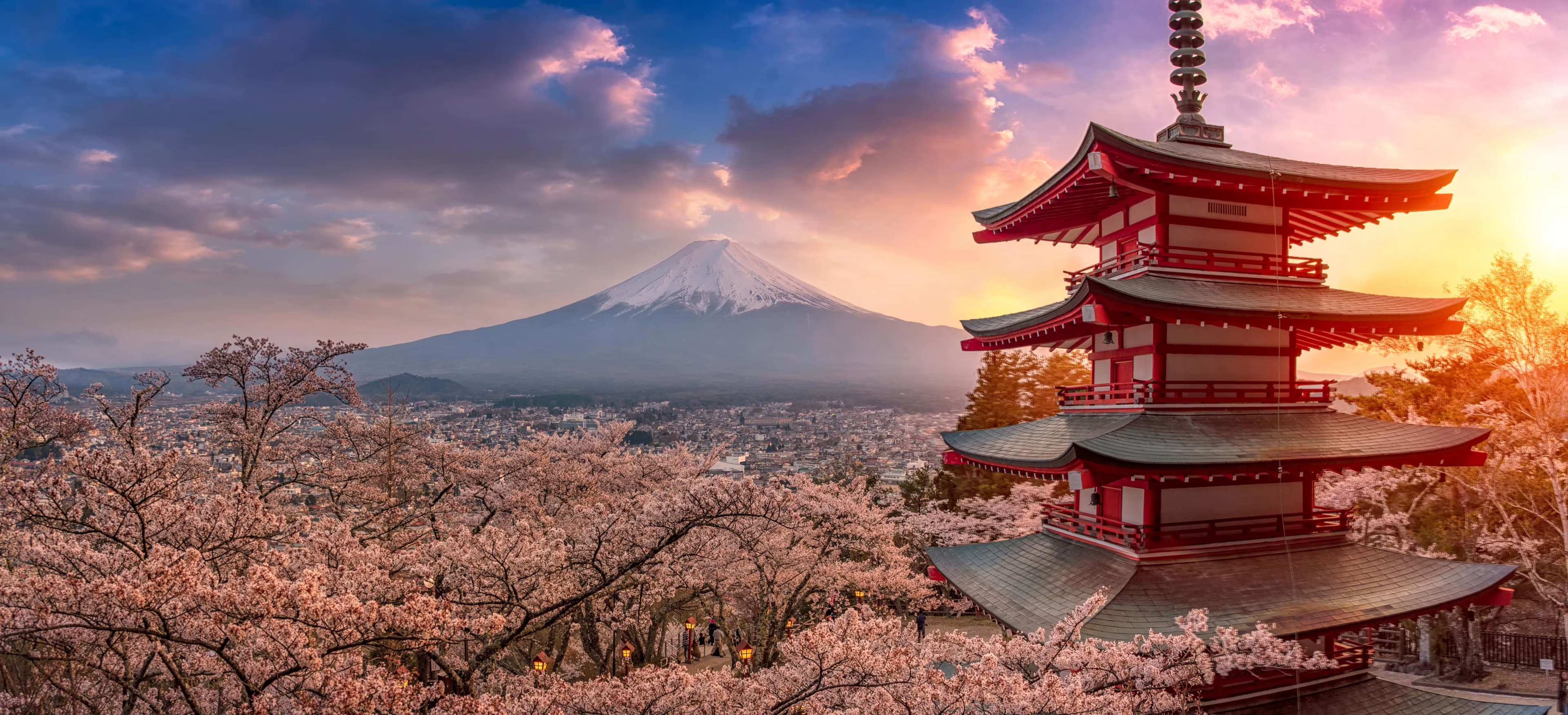 CHERRY BLOSSOM IN JAPAN 