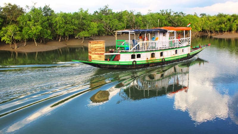 SUNDARBAN - Mangrove magic awaits.