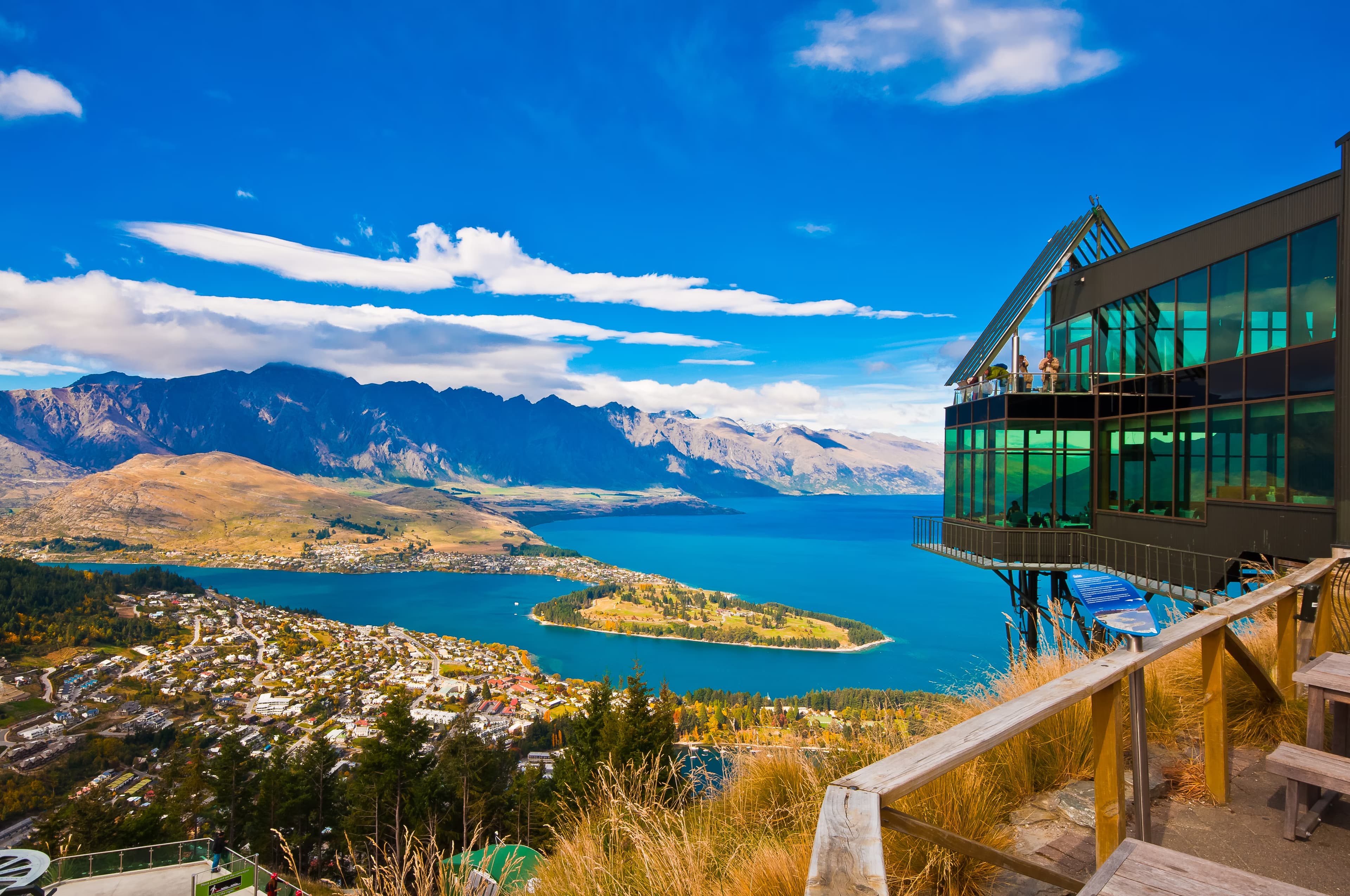 NEW ZEALAND- LAND OF KIWIS