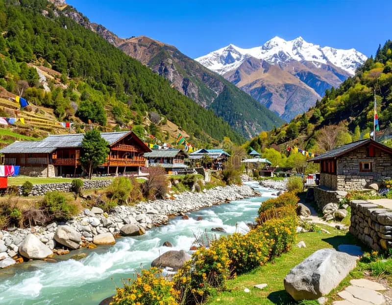 SHIMLA MANALI - GROUP TOUR .
