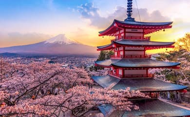 Japan in Full Bloom 2027