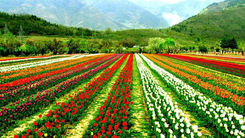 KASHMIR - Heaven on Earth.