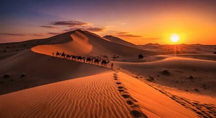 Rajasthan Royal Heritage Tour
