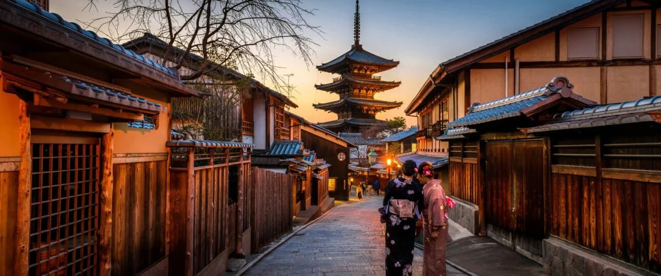 A Journey Through Japan’s Cherry Blossom